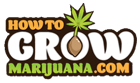 How to Grow Marijuana | Grow Weed Indoors