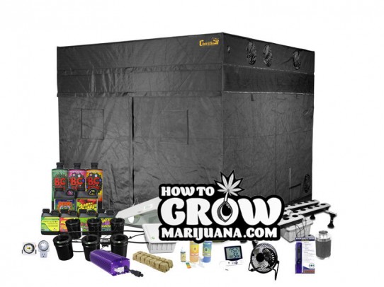 9 X 9 Grow Tent Kit Review