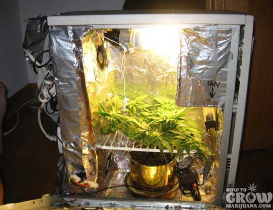 PC Grow Box Review