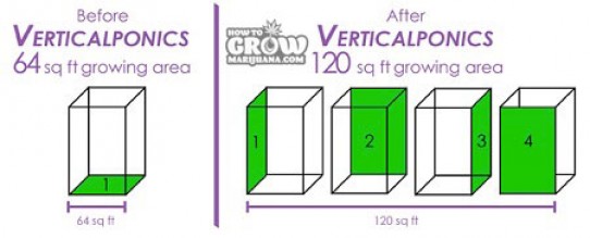 Vertical Hydroponic Systems