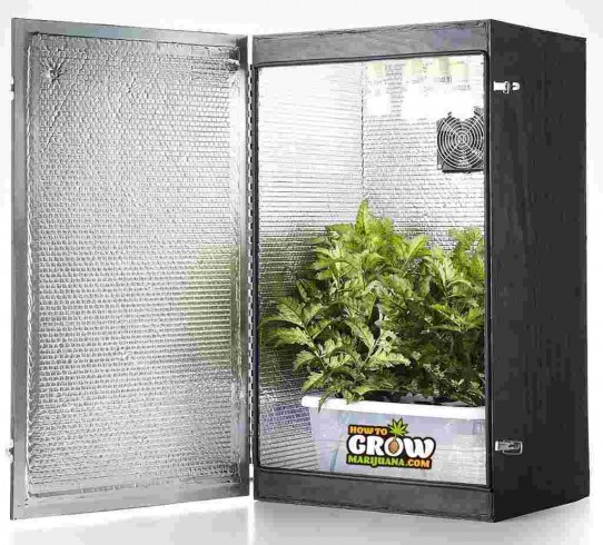 Grandma’s Secret Garden 9 Plant Grow Box Review