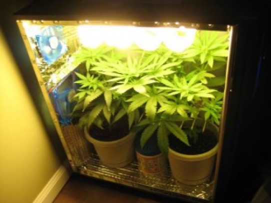 PC Grow Box